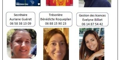 Le comité directeur